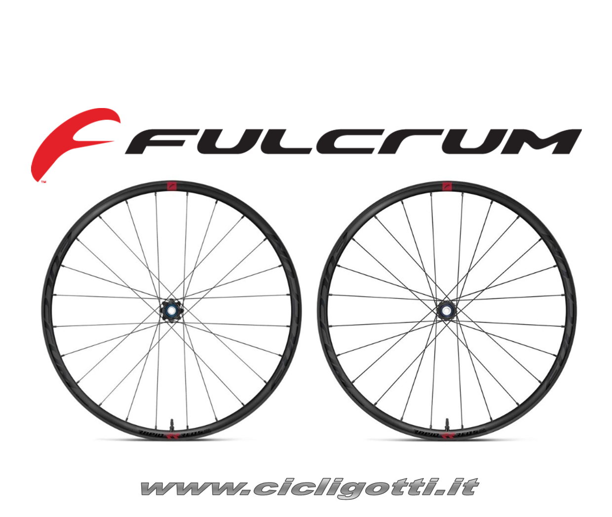 FULCRUM RAPID RED 5 DB coppia ruote GRAVEL 650b - Cicli Gotti